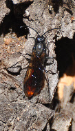 wp0237bc31_0f.jpg