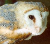 wp59e8b90d_0f.jpg
