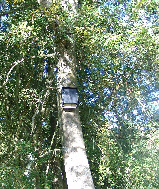 wp765dff6f_0f.jpg