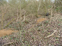 wpc0e53046_0f.jpg